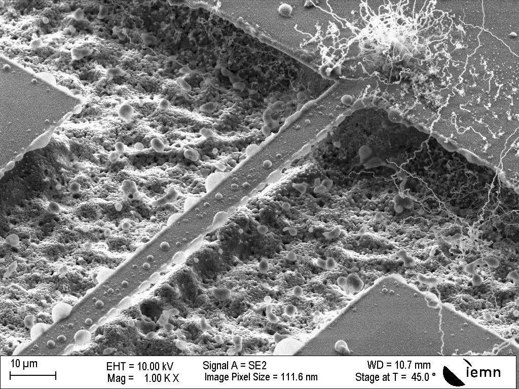 (b) The same wire suspended and baked at 1 300 °C for 15 minutes. The white particles have become seed for nanowires growth.